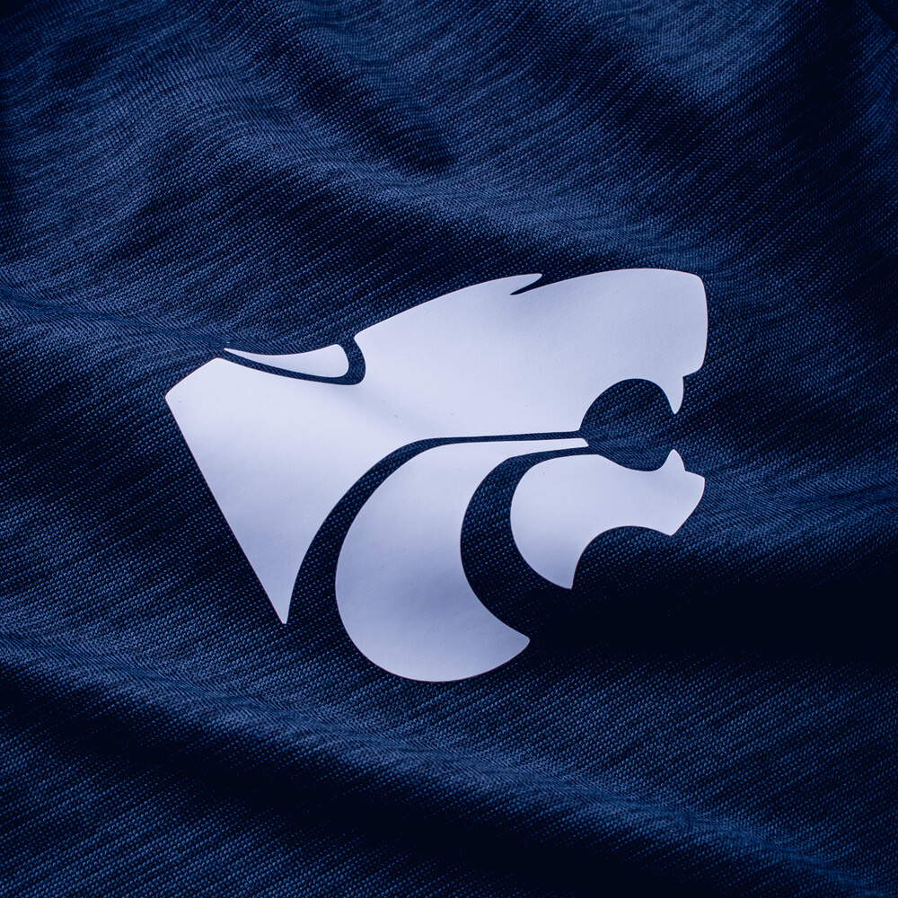 Lion Sport Plotter Cut Transfer